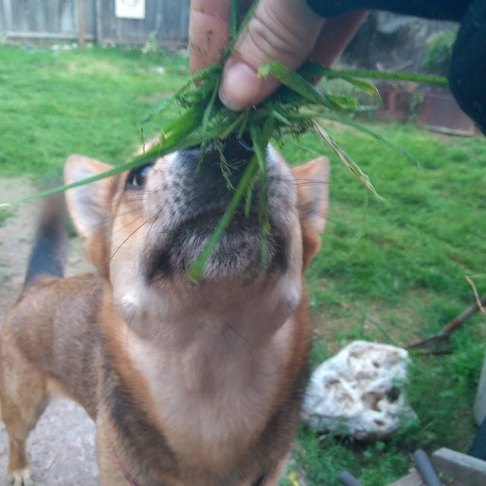 Meet your Posher, Chelsey